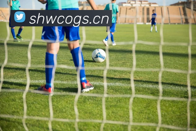 开元体育APP 体育赛事宣传图